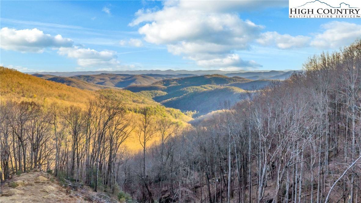 TBD Buckwheat Branch Road
