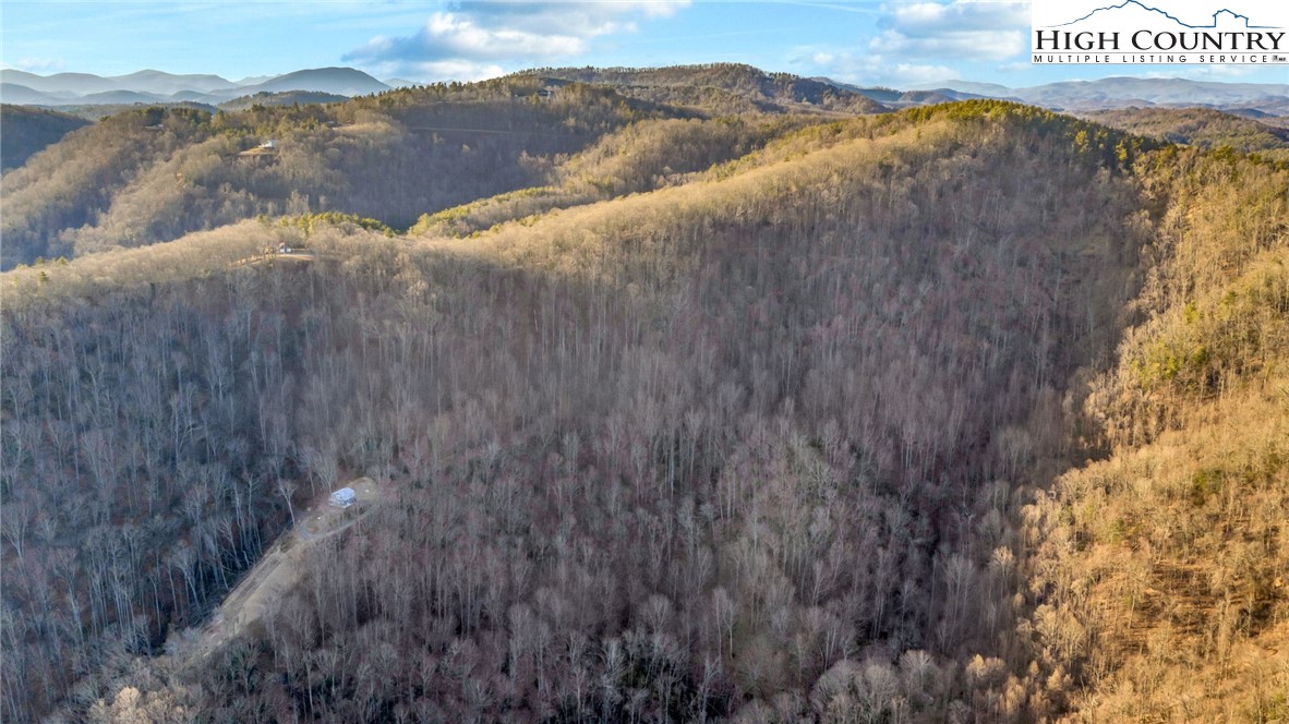 TBD Buckwheat Branch Road