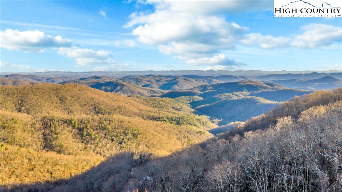 TBD Buckwheat Branch Road