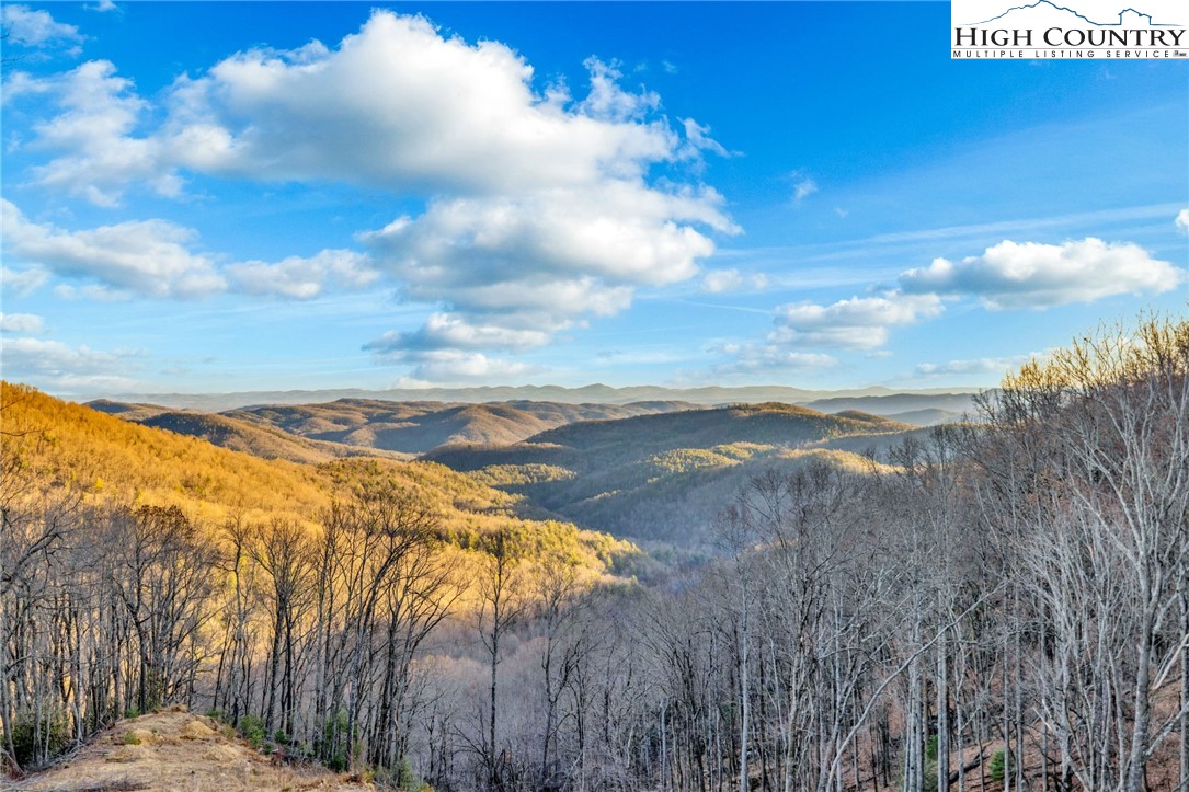 TBD Buckwheat Branch Road