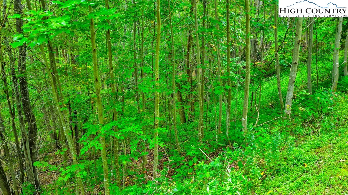 TBD 6 Christmas Mountain Lane