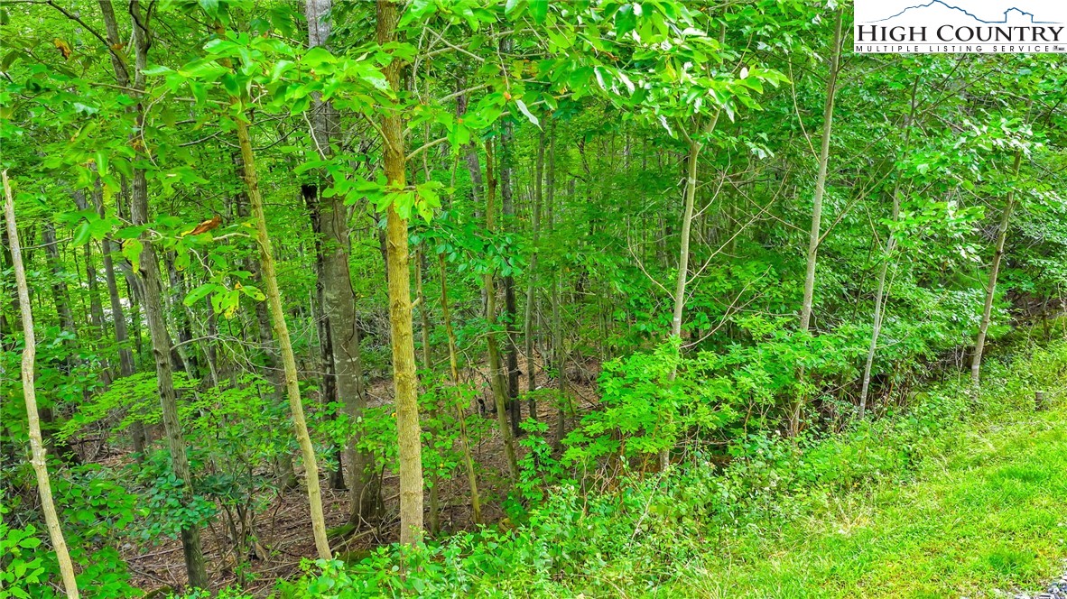 TBD 6 Christmas Mountain Lane