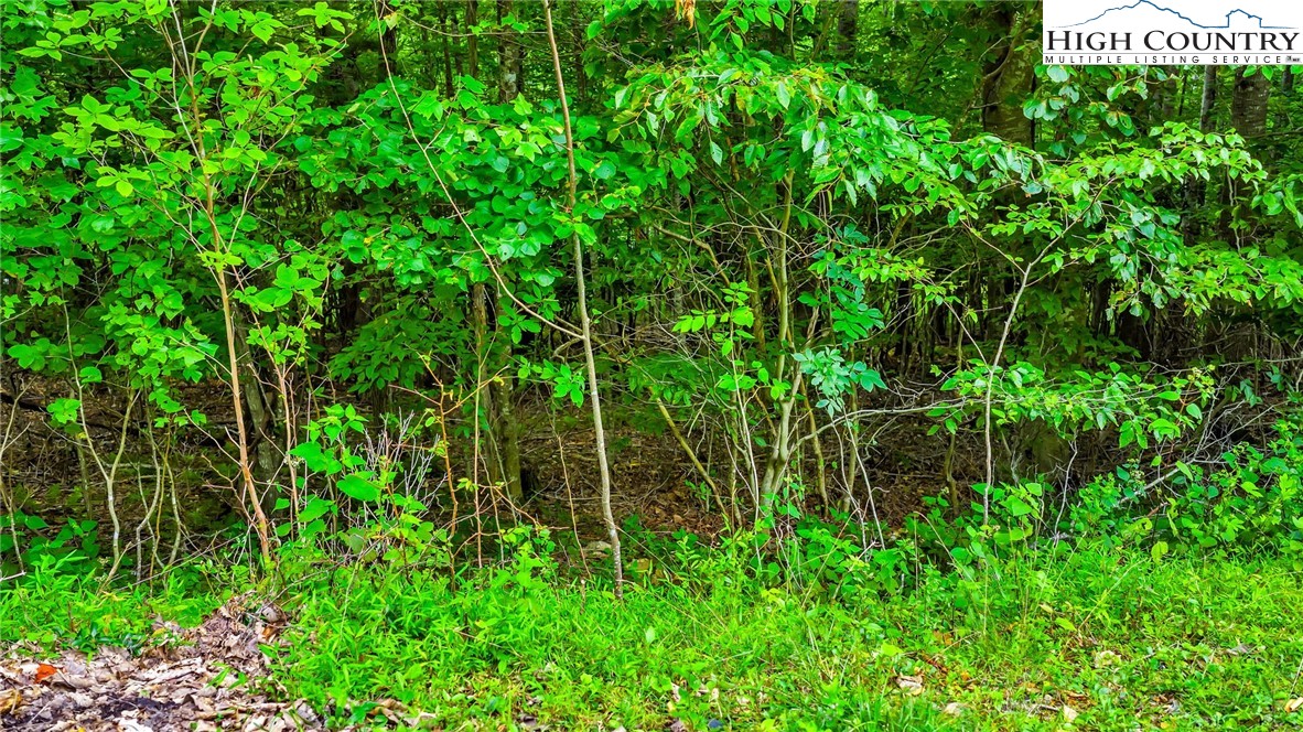 TBD 6 Christmas Mountain Lane