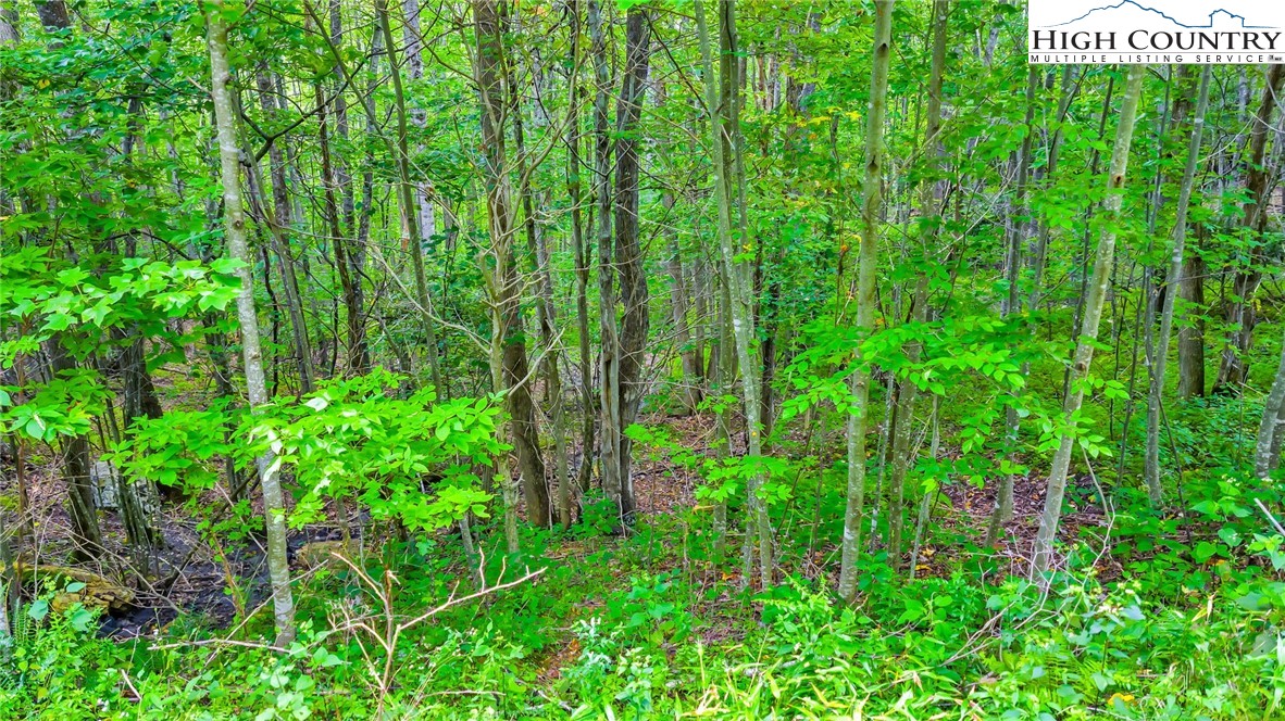 TBD 6 Christmas Mountain Lane