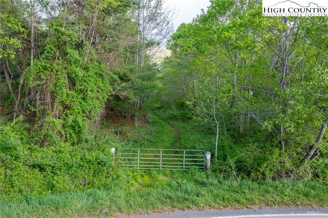 TBD Ashe Park Road