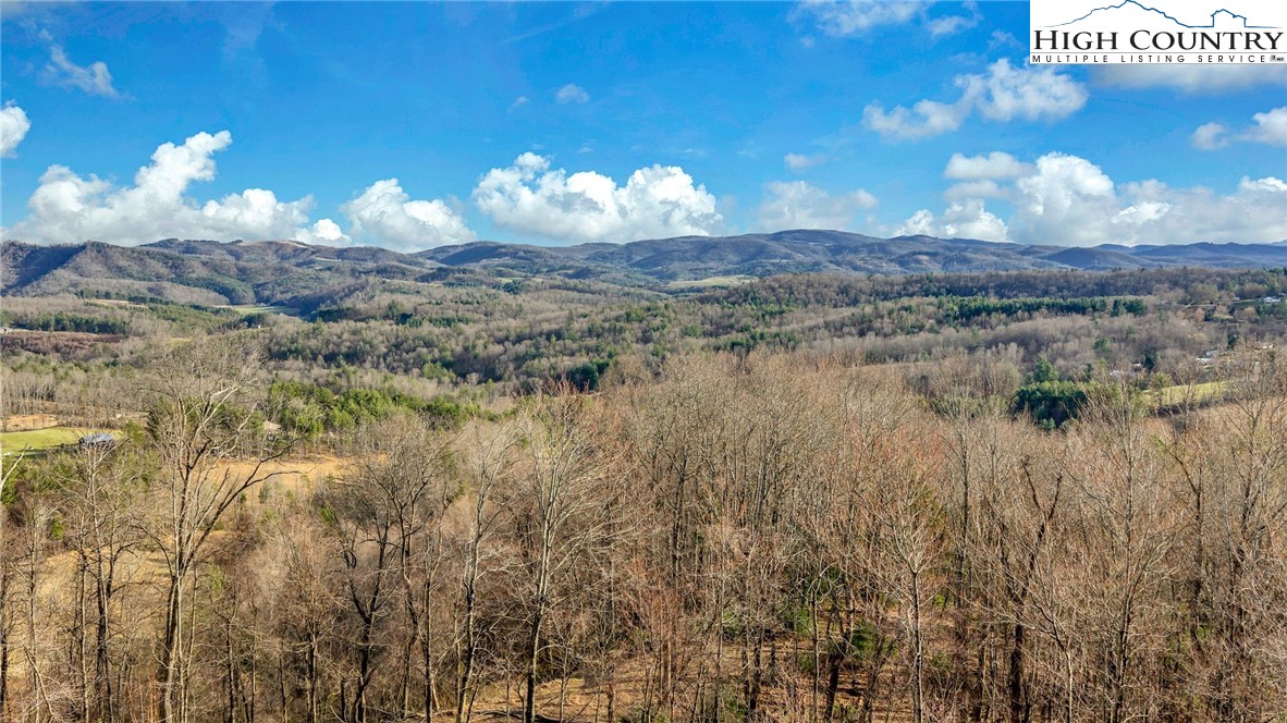 871 Lower Nettle Knob Road