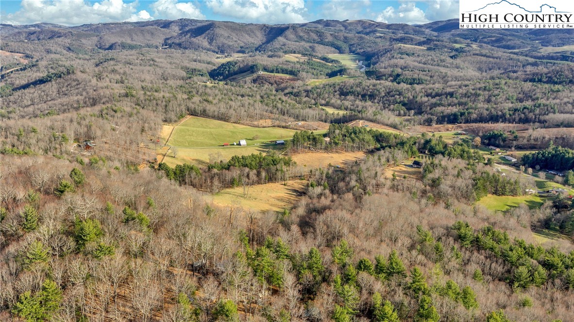 871 Lower Nettle Knob Road