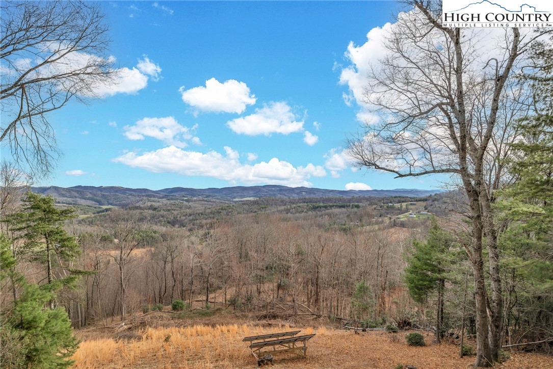 871 Lower Nettle Knob Road