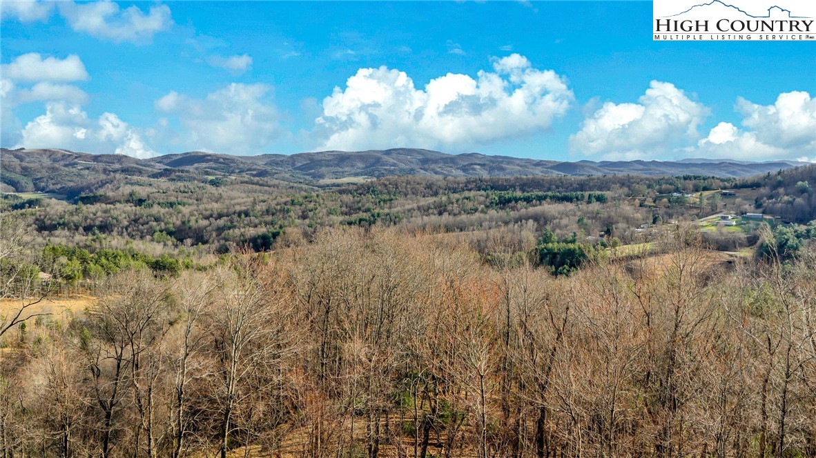 871 Lower Nettle Knob Road