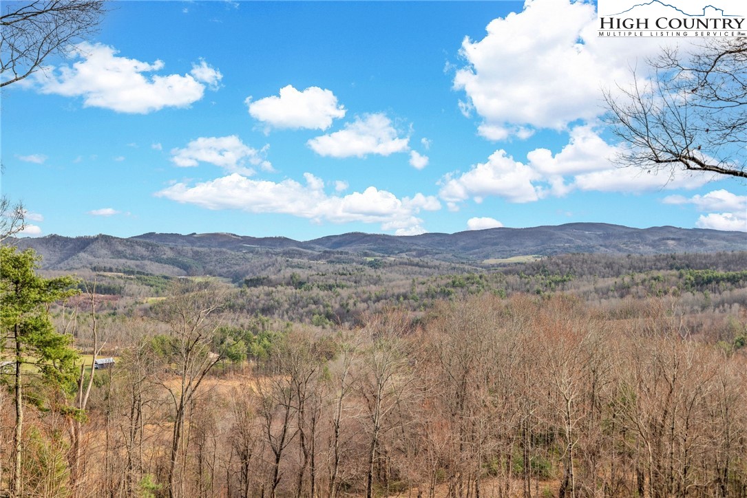 871 Lower Nettle Knob Road