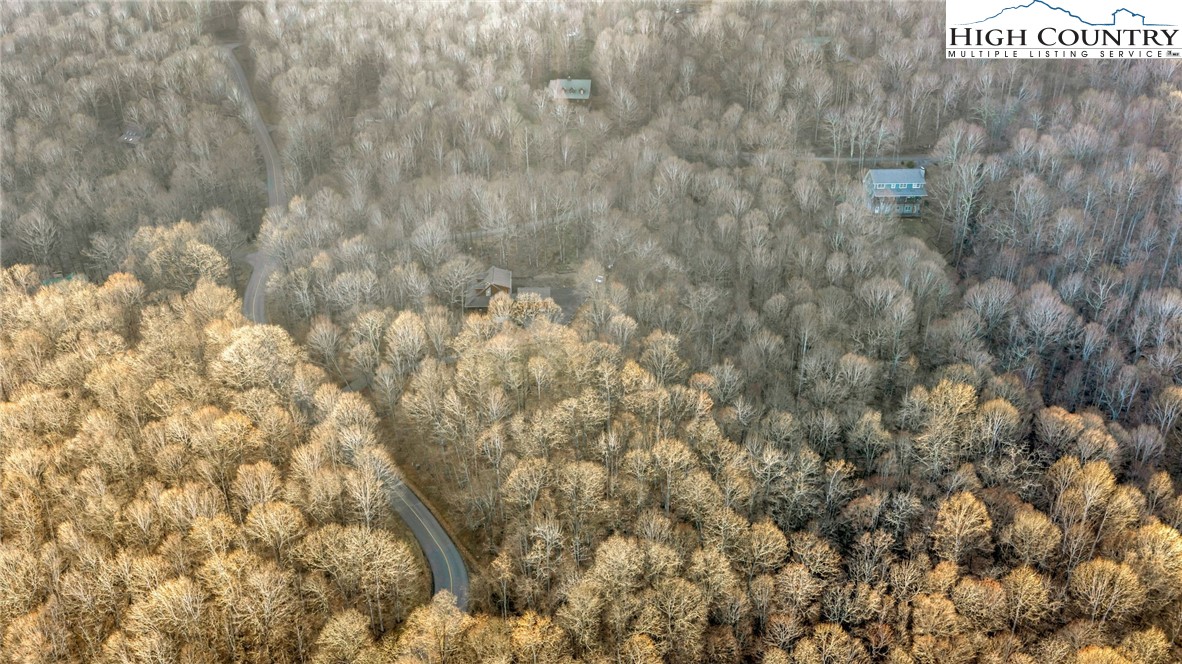 632 Big Tree Road