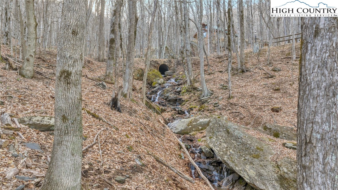 632 Big Tree Road