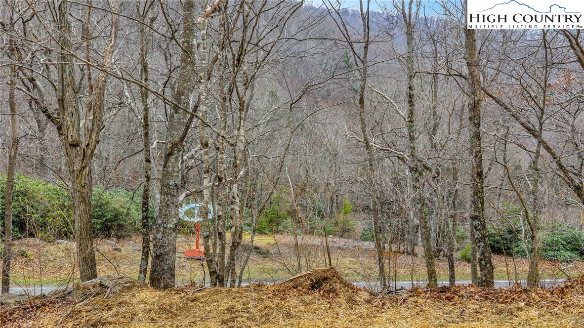 TBD - 1 Three Top Road