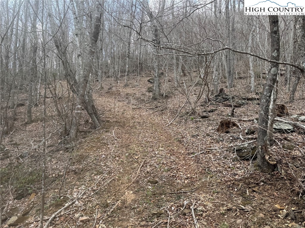 TBD - 1 Three Top Road