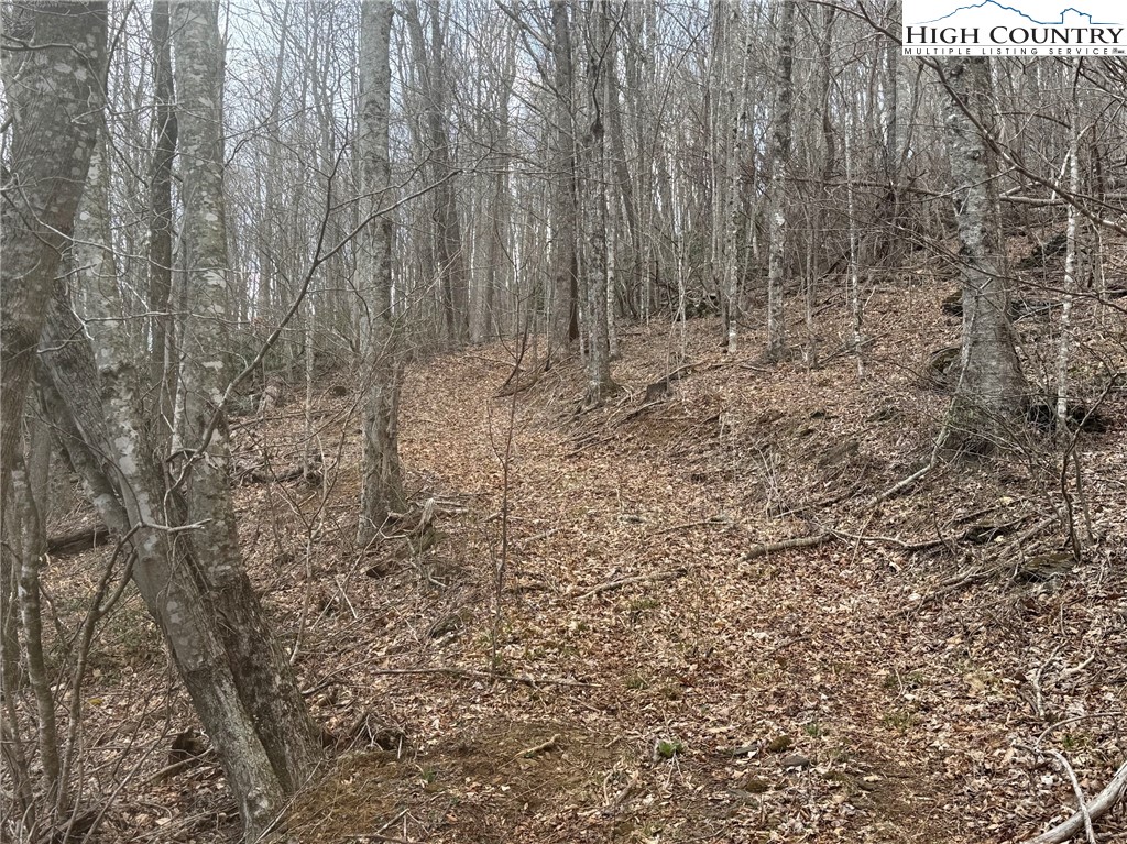 TBD - 1 Three Top Road