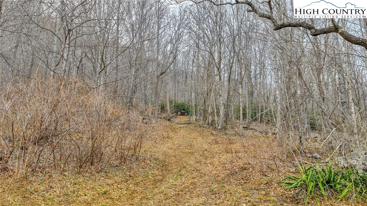 TBD - 1 Three Top Road