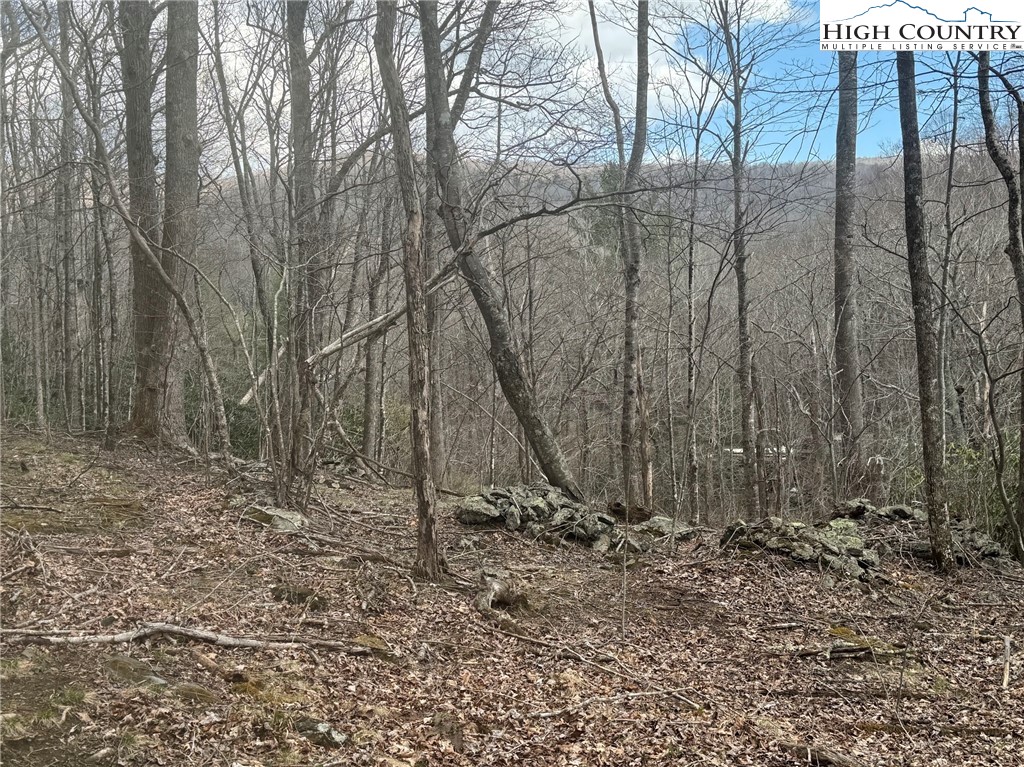 TBD - 2 Three Top Road