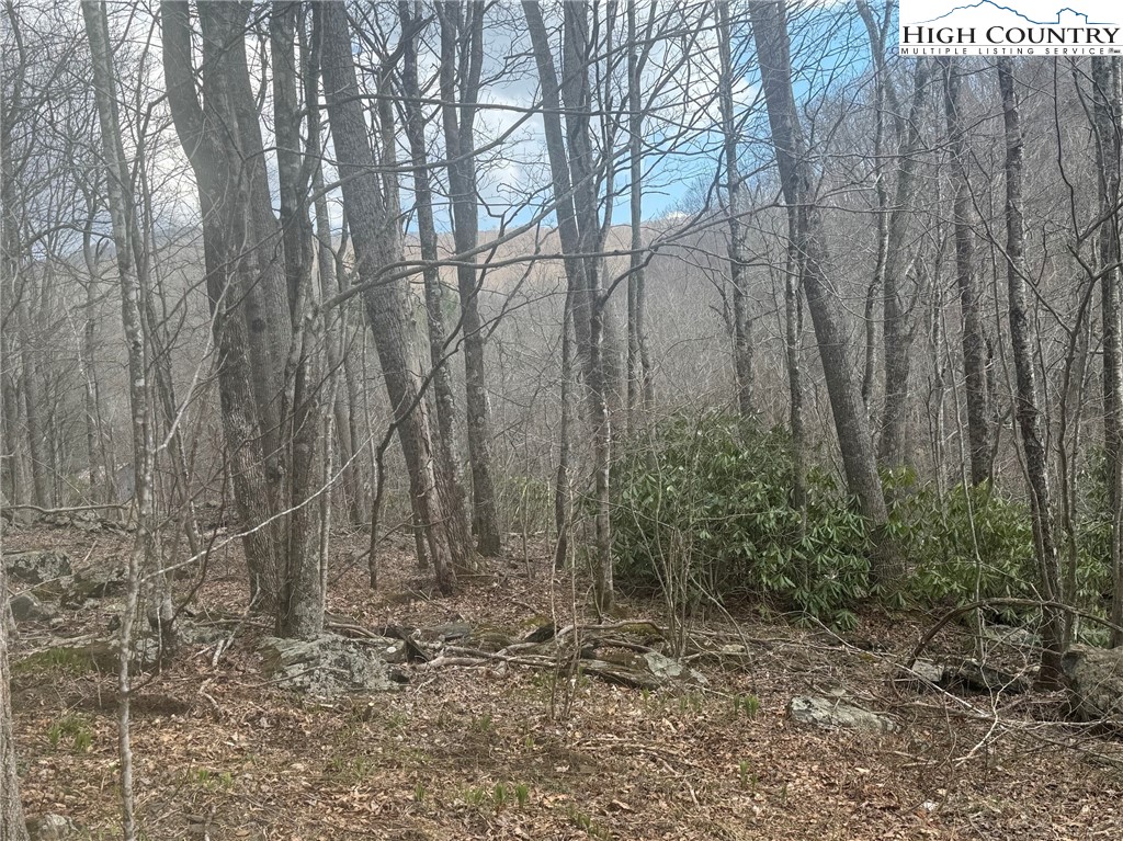 TBD - 2 Three Top Road