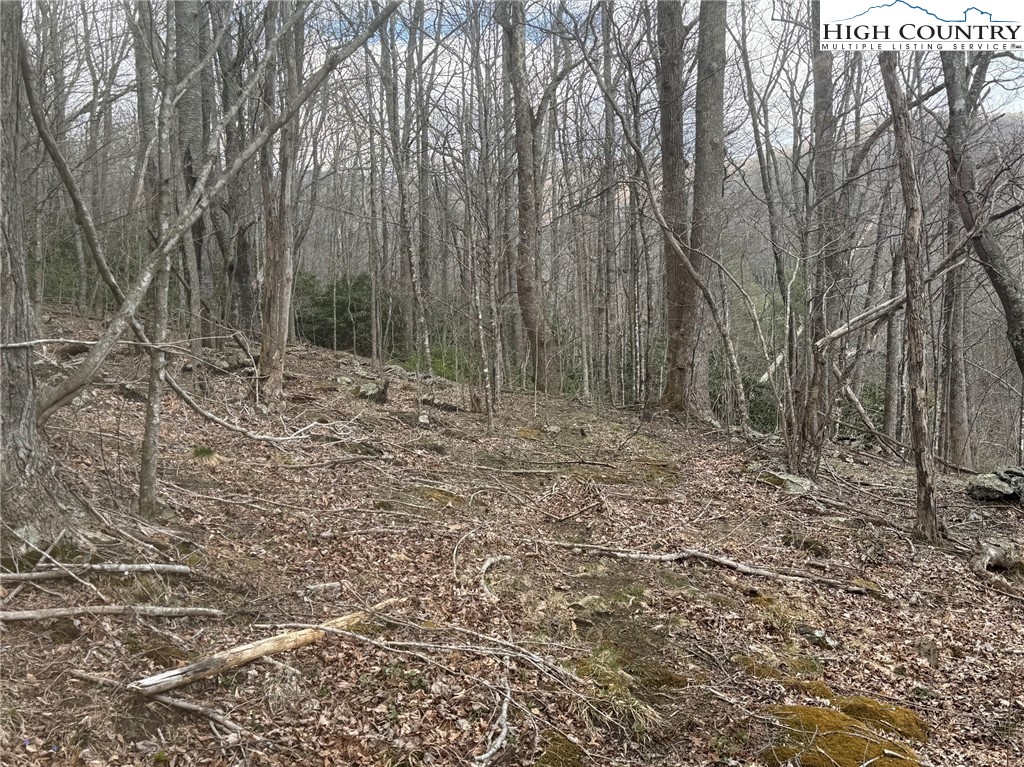 TBD - 2 Three Top Road