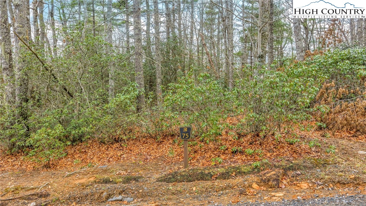 75 Trailwood Drive