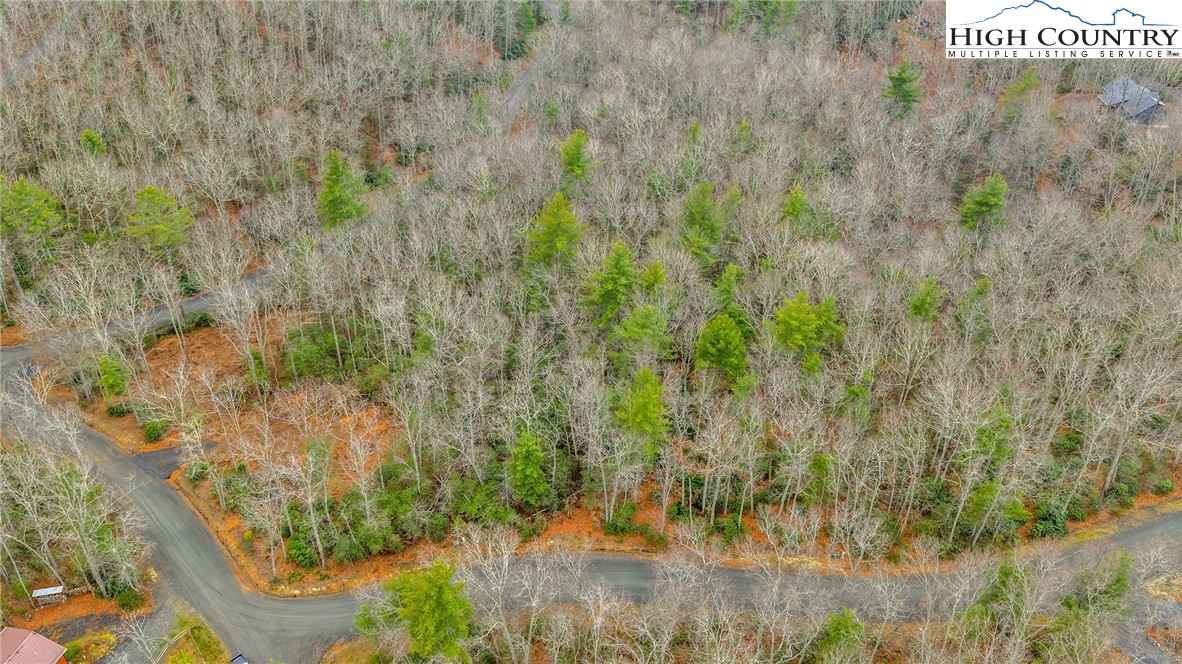 75 Trailwood Drive