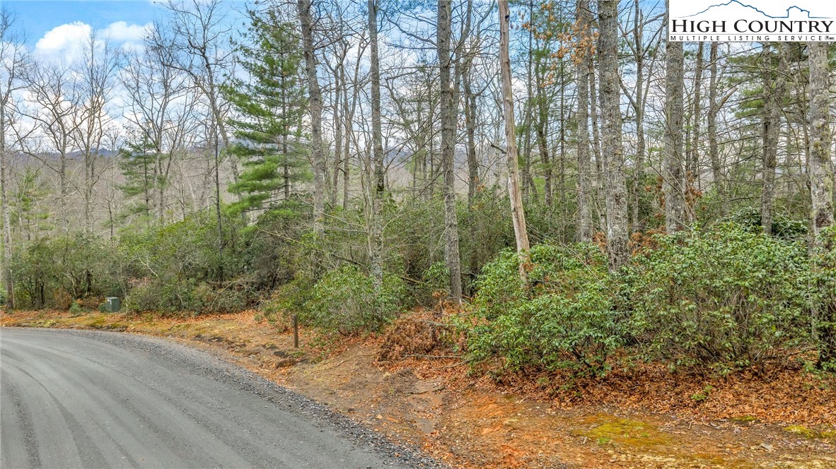 75 Trailwood Drive