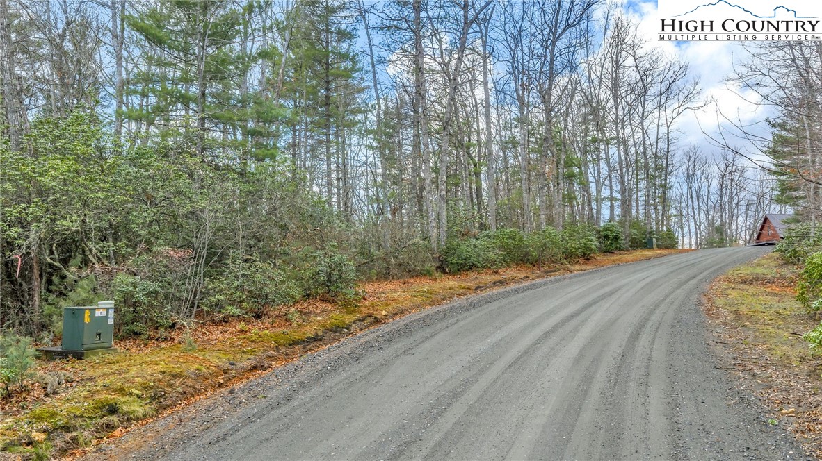 75 Trailwood Drive