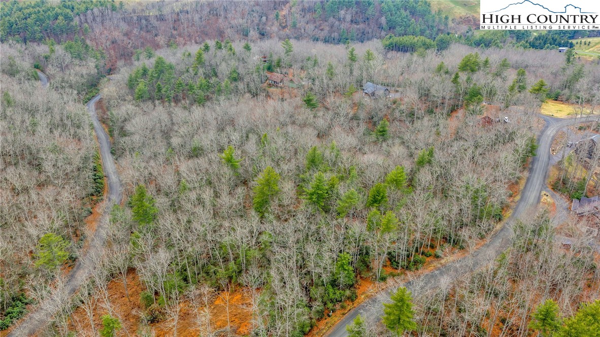 75 Trailwood Drive