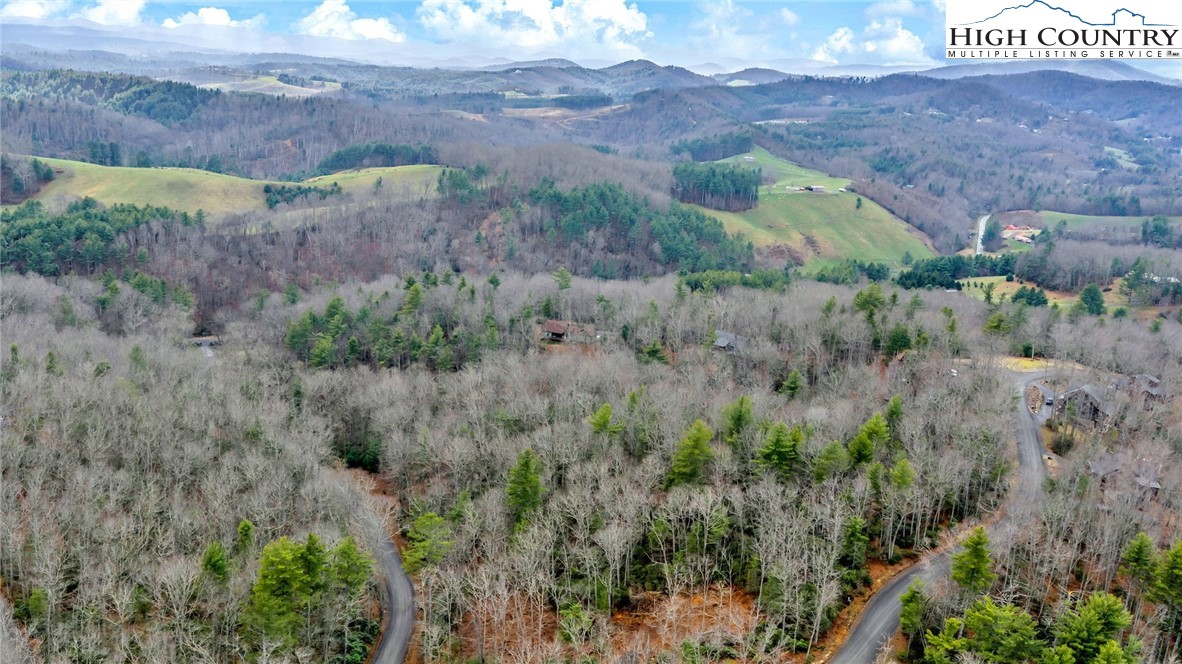 75 Trailwood Drive