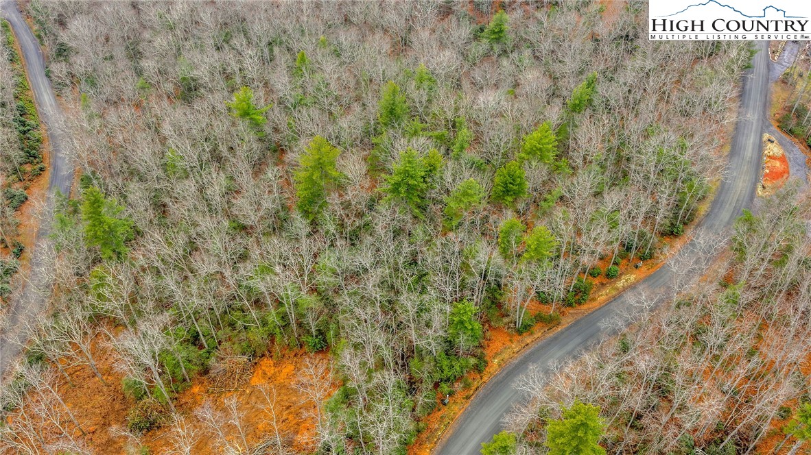 75 Trailwood Drive