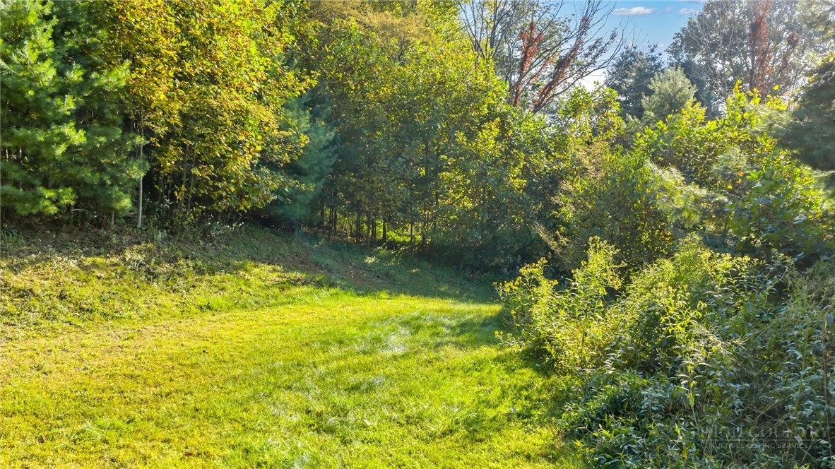 TBD Mulatto Mountain Road