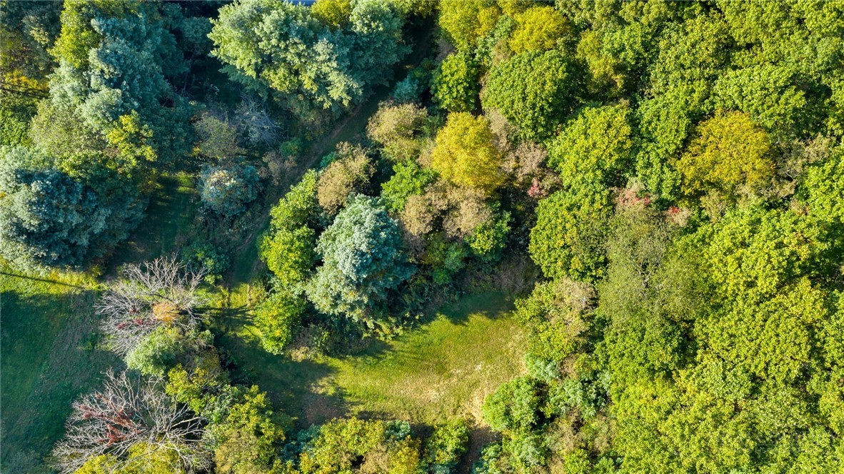 TBD Mulatto Mountain Road