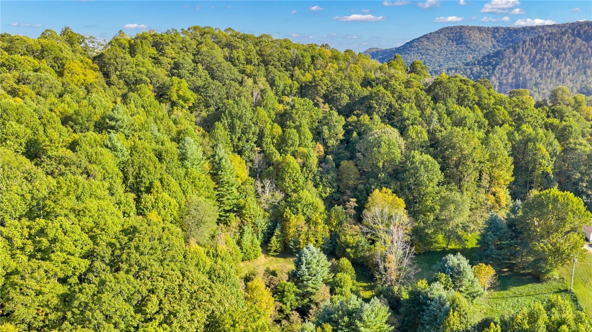 TBD Mulatto Mountain Road