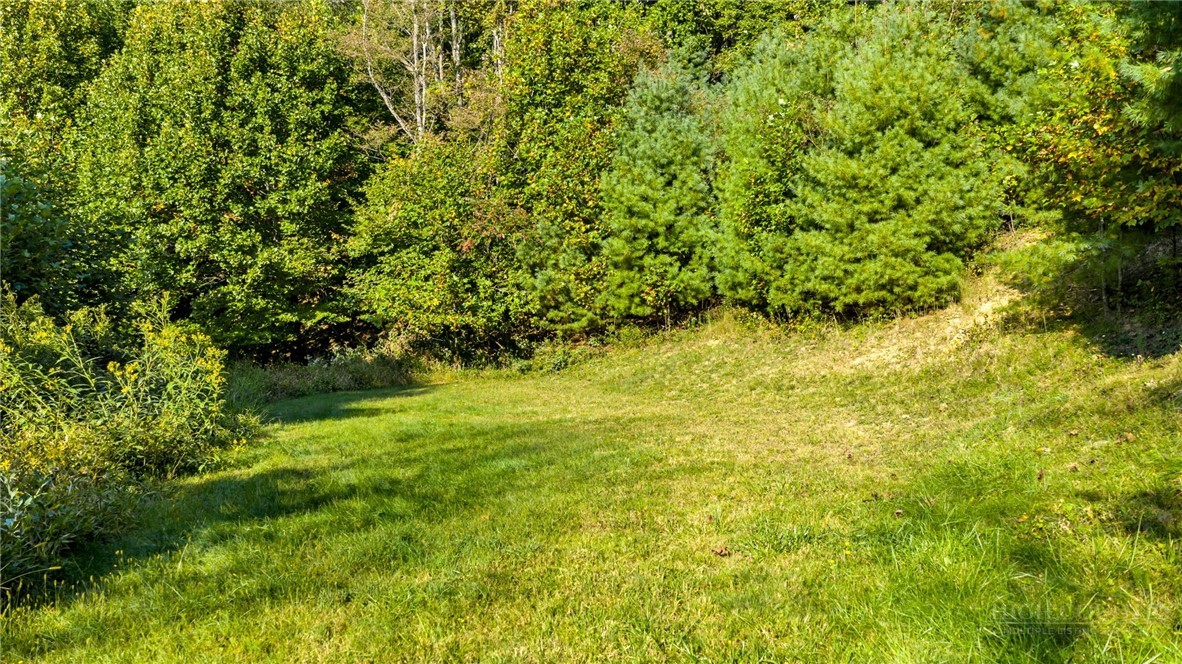 TBD Mulatto Mountain Road