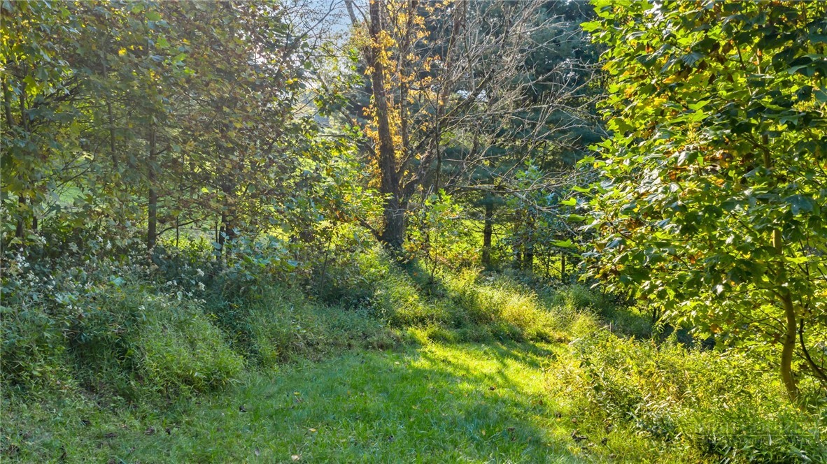 TBD Mulatto Mountain Road