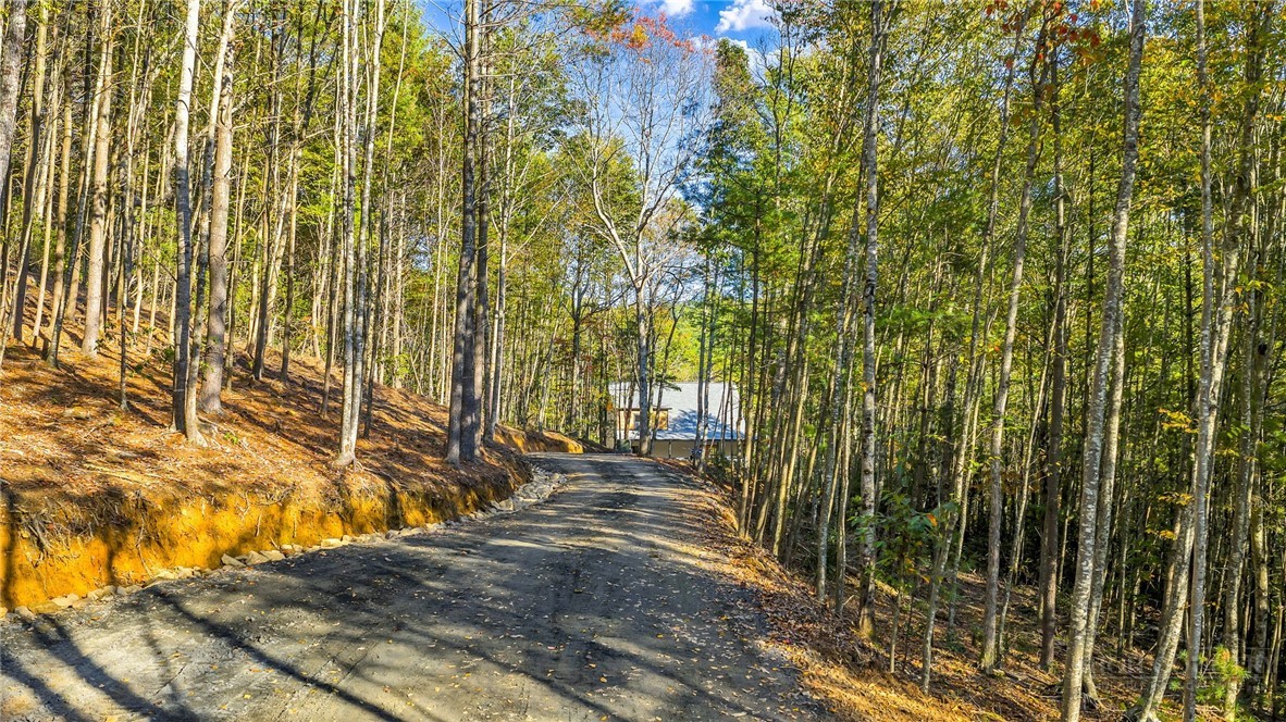 250 Noahs Ridge