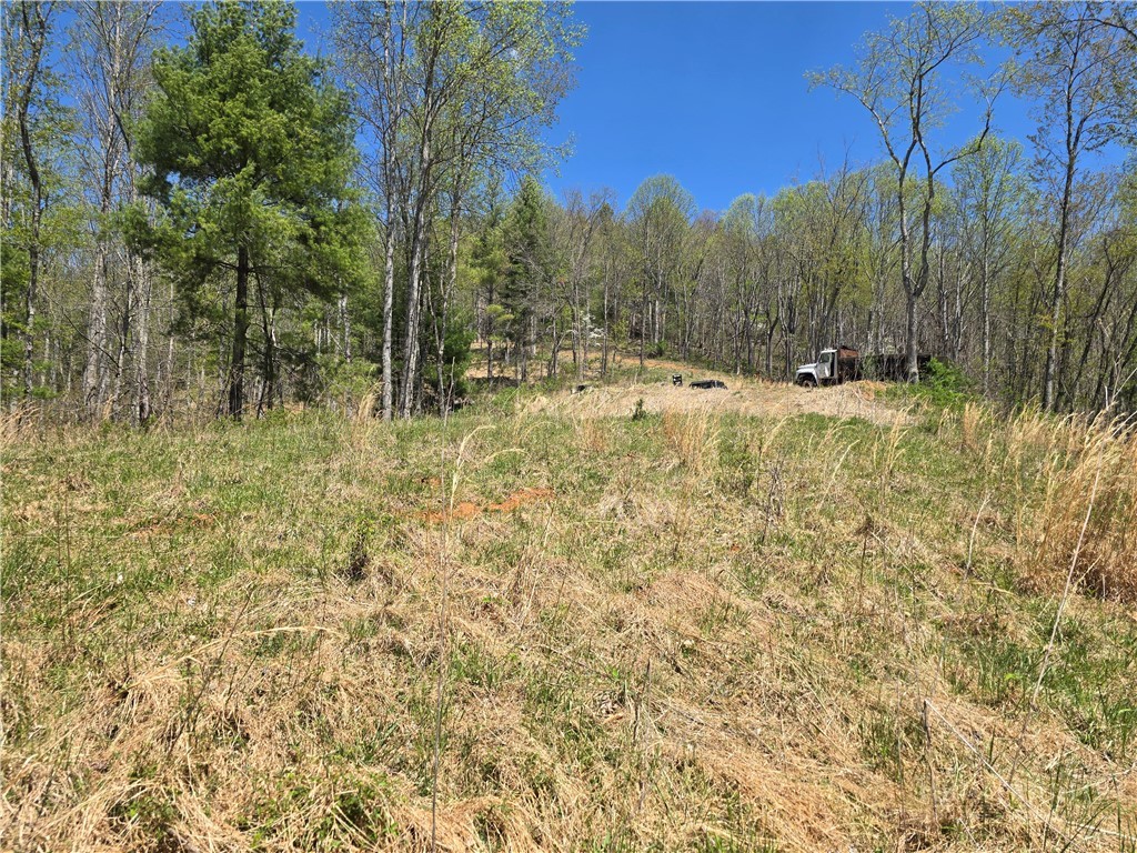 Lot 4 Venue Views Drive