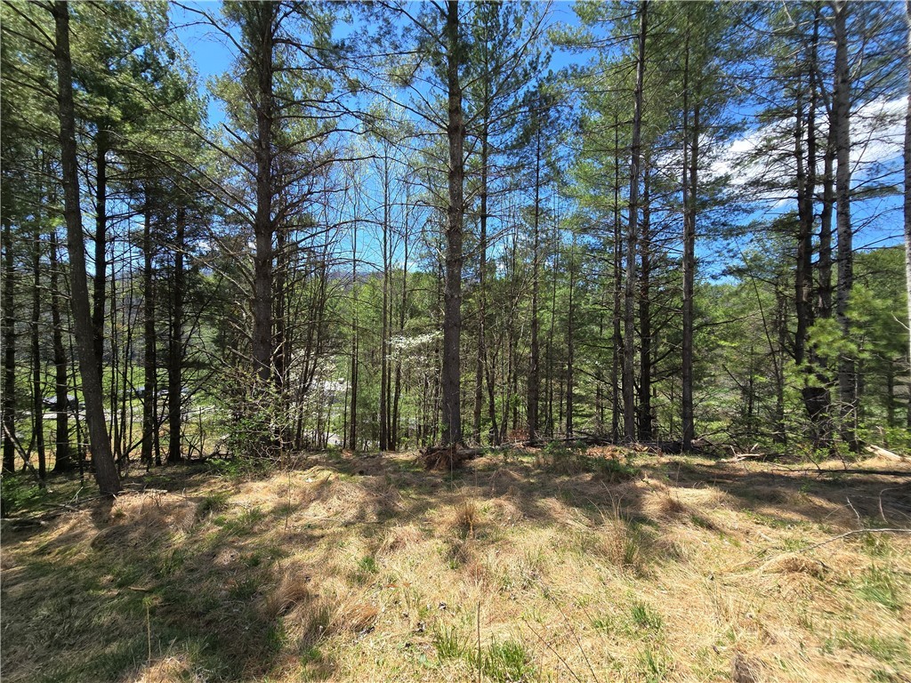 Lot 4 Venue Views Drive