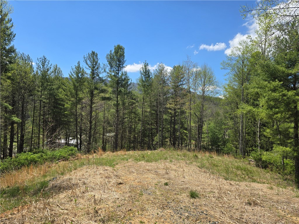 Lot 4 Venue Views Drive