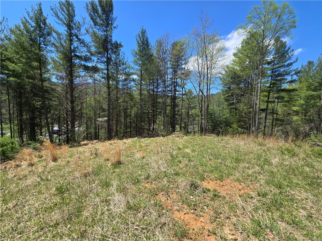 Lot 4 Venue Views Drive