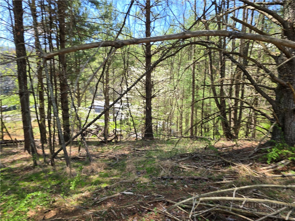 Lot 4 Venue Views Drive