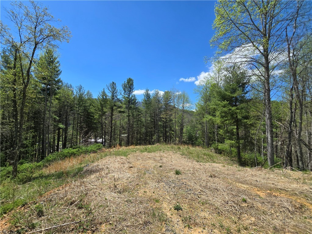 Lot 4 Venue Views Drive