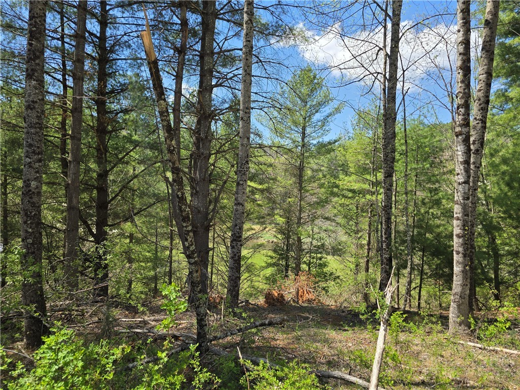 Lot 4 Venue Views Drive