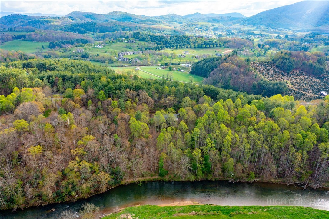 594 Village Pine Drive