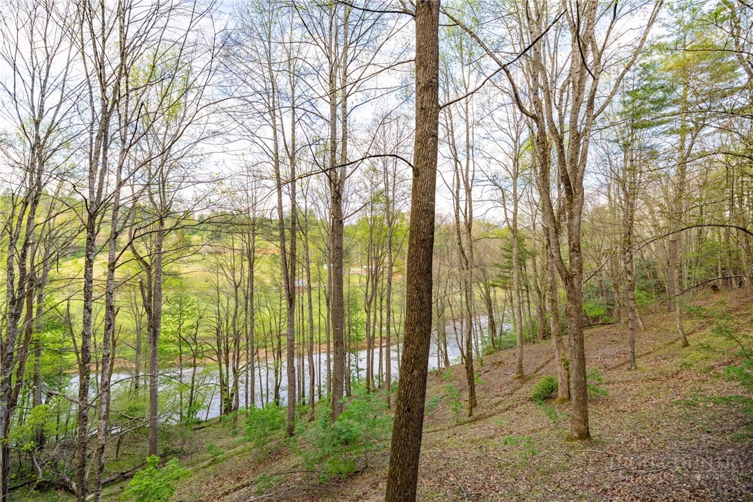 594 Village Pine Drive