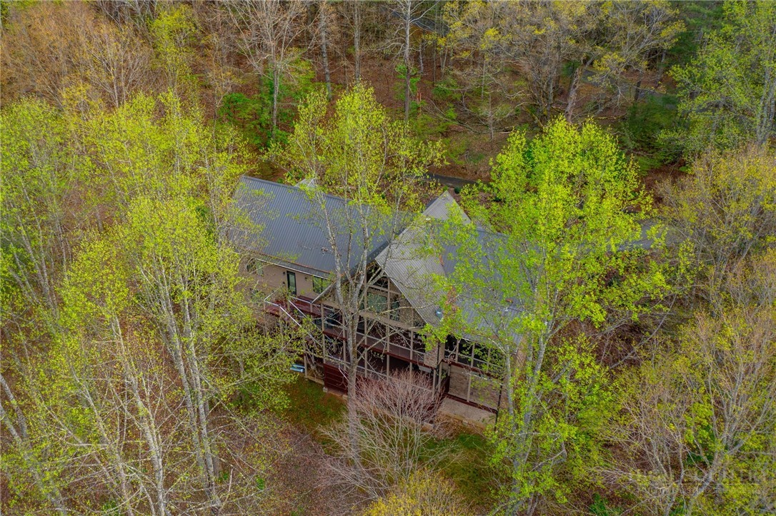 594 Village Pine Drive