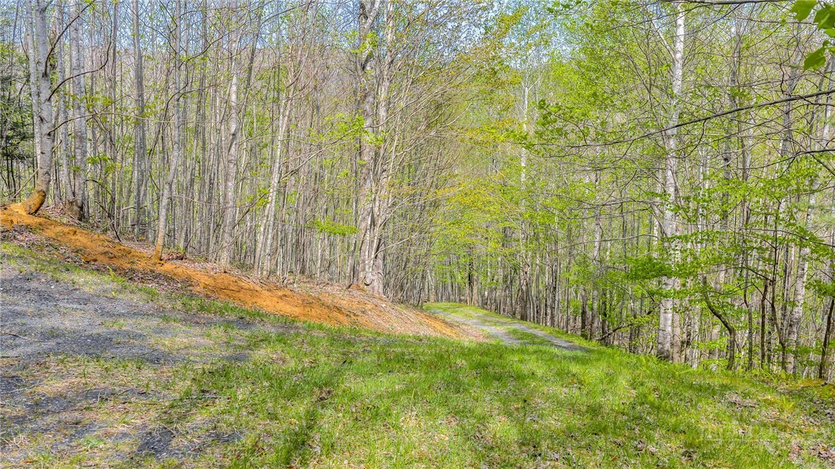 TBD Bluff Canyon Drive