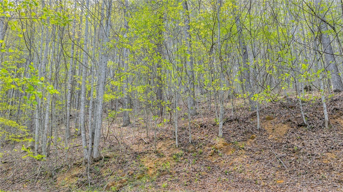 TBD Bluff Canyon Drive