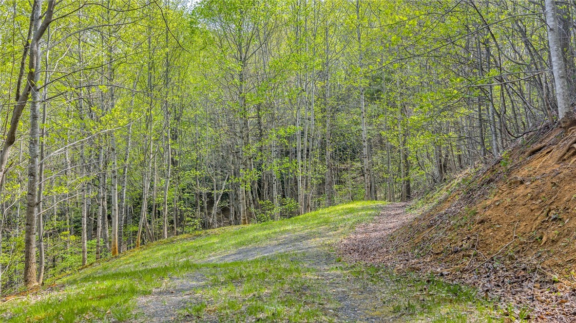 TBD Bluff Canyon Drive