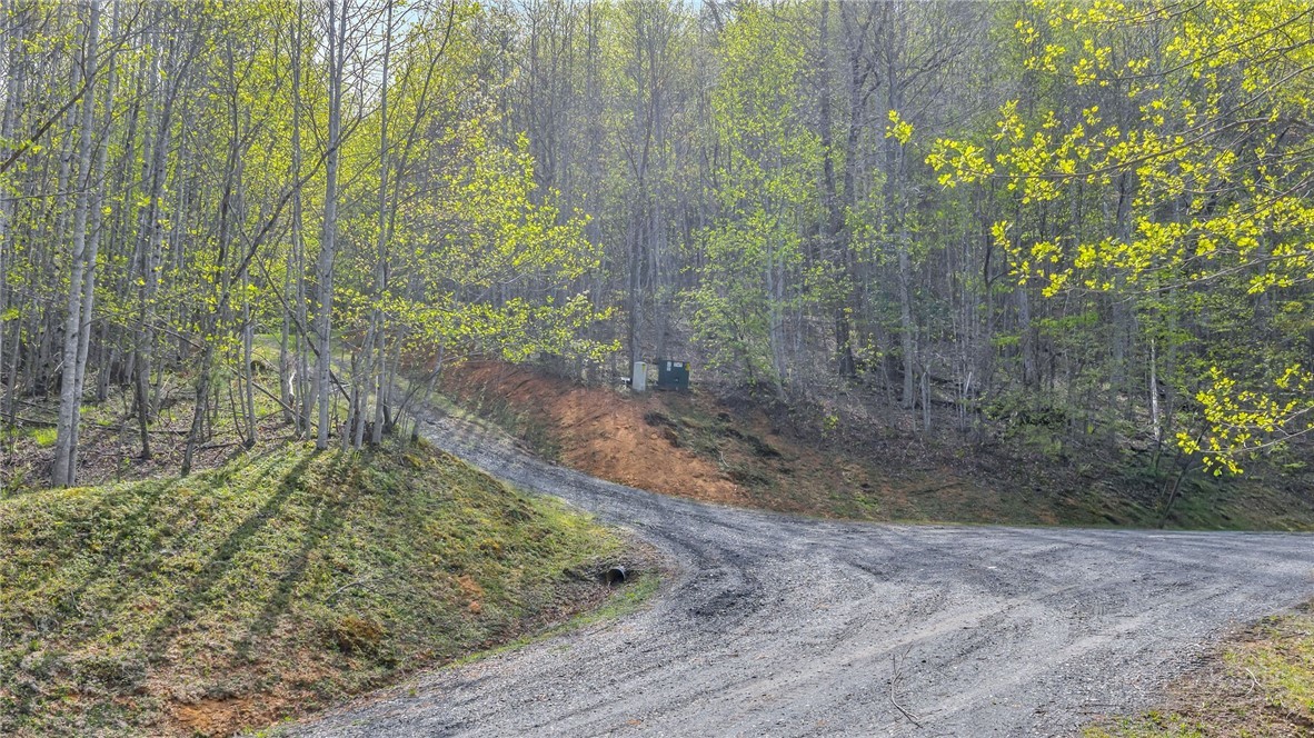 TBD Bluff Canyon Drive